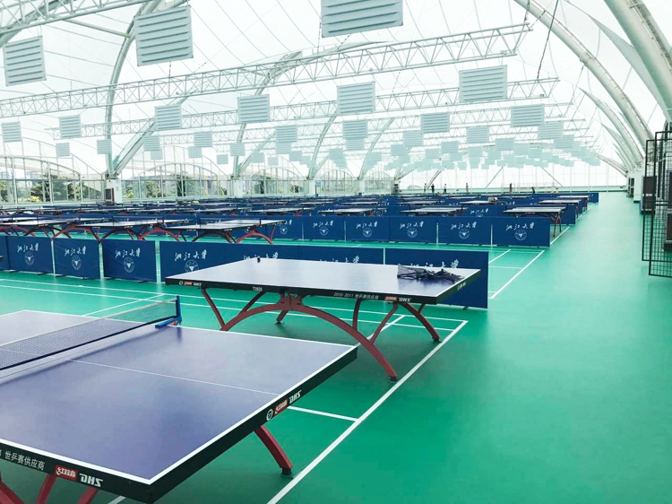 卷材PVC运动地板-ADC弹性地板