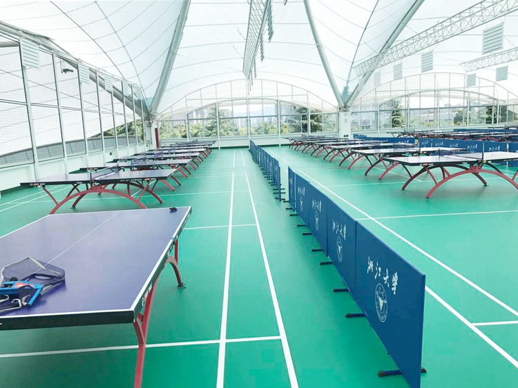 卷材PVC运动地板-ADC弹性地板